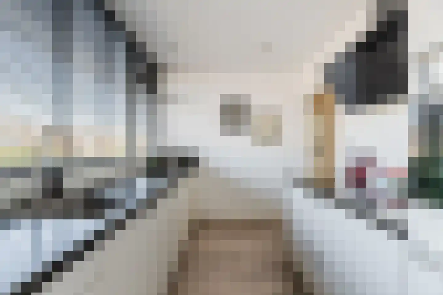 Kasterleestraat 210 Breda thumbnail 9