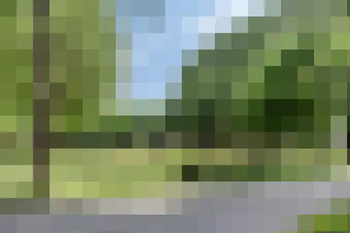 Kasterleestraat 226 Breda thumbnail 33