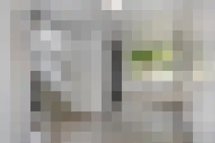 Kasterleestraat 226 Breda thumbnail 8