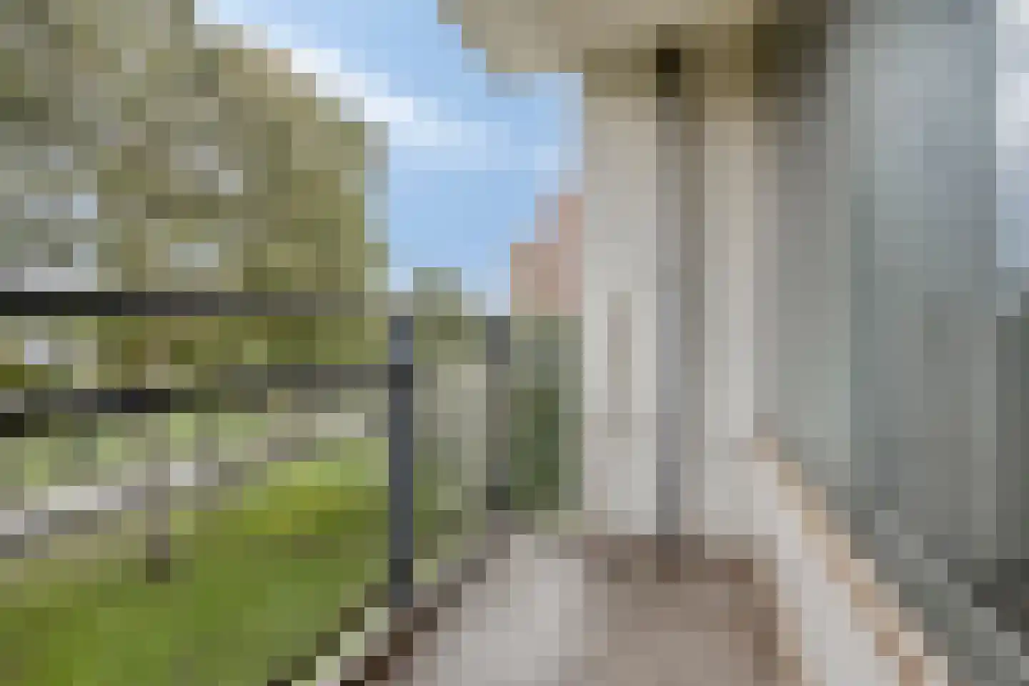 Kasterleestraat 260 Breda thumbnail 20