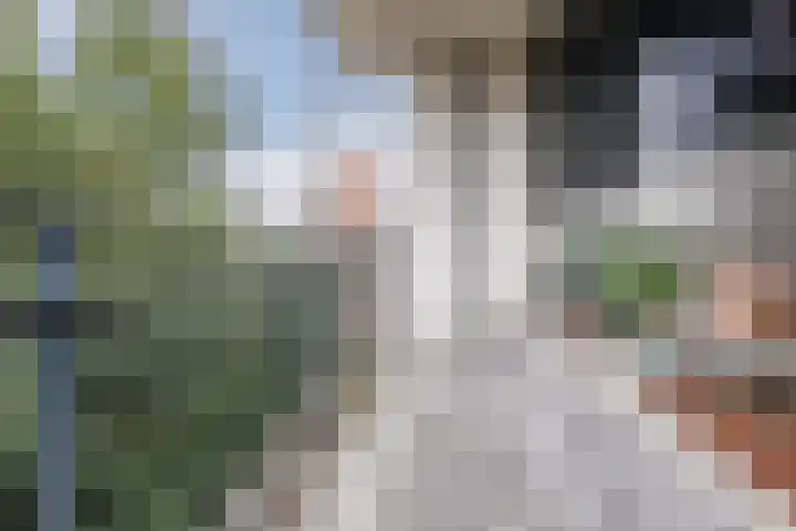 Kasterleestraat 286 Breda thumbnail 33