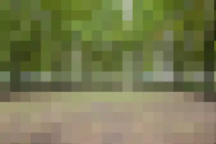 Kasterleestraat 286 Breda thumbnail 36