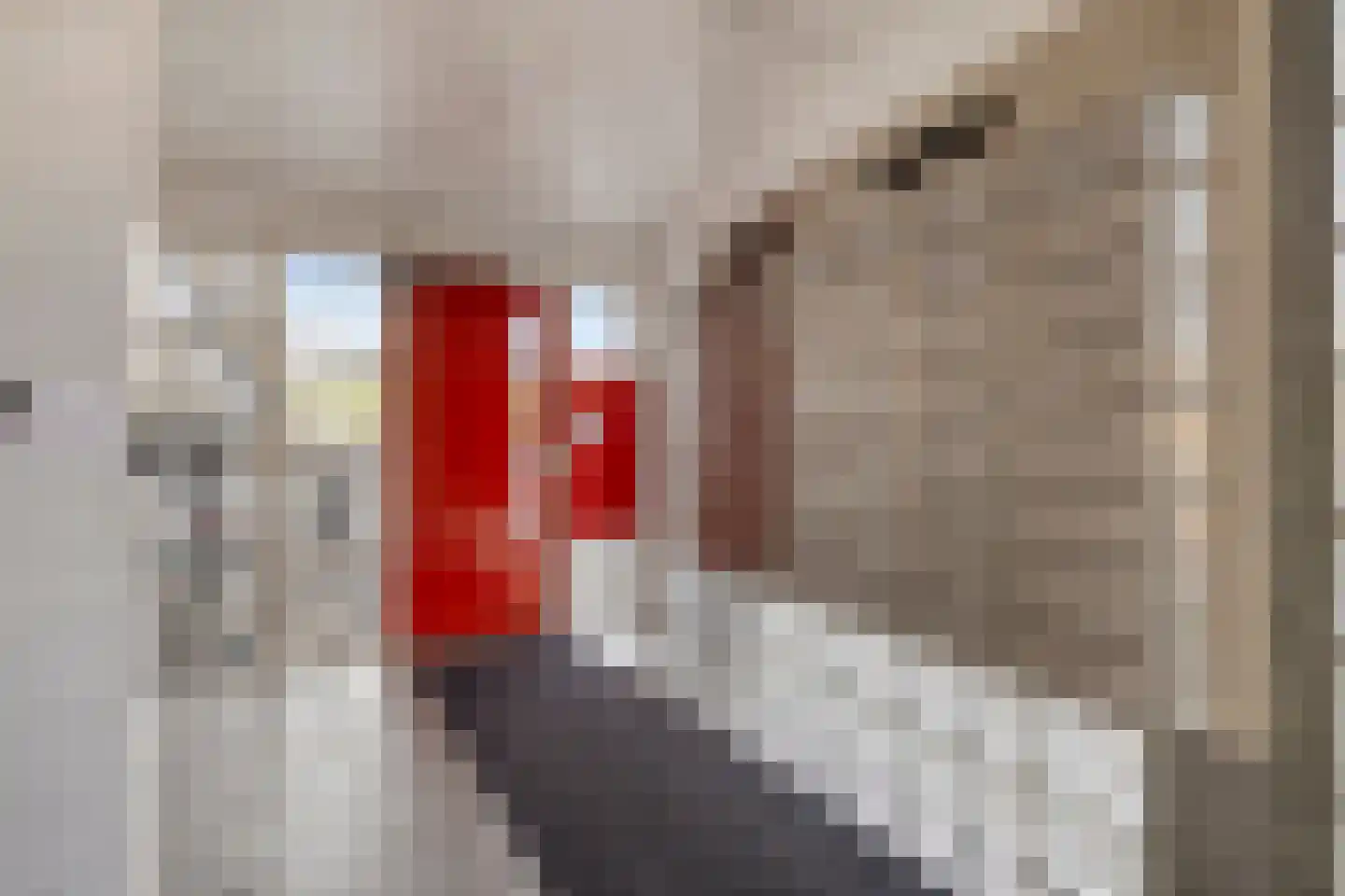 Kasterleestraat 294 Breda thumbnail 6