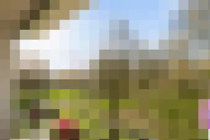 Kasterleestraat 384 Breda thumbnail 28