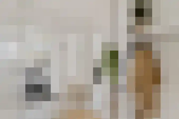 Kasterleestraat 384 Breda thumbnail 6