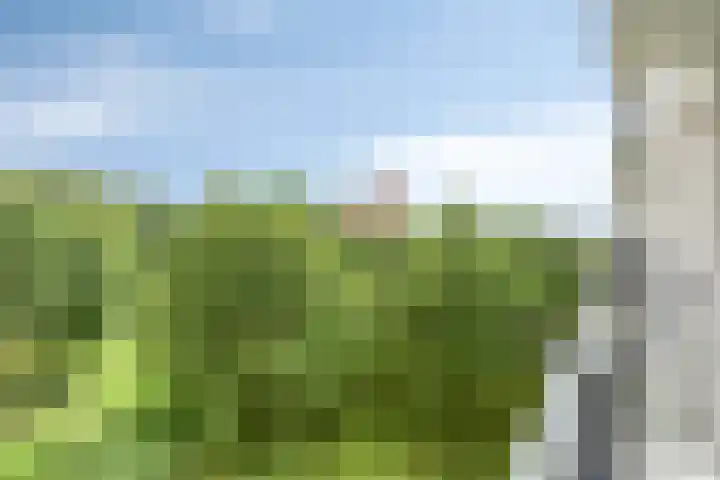 Kasterleestraat 420 Breda thumbnail 31