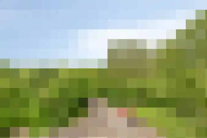 Kasterleestraat 420 Breda thumbnail 32