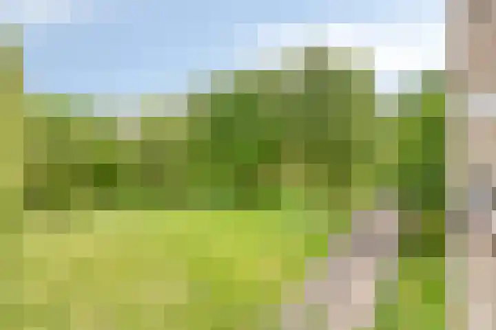 Kasterleestraat 420 Breda thumbnail 35