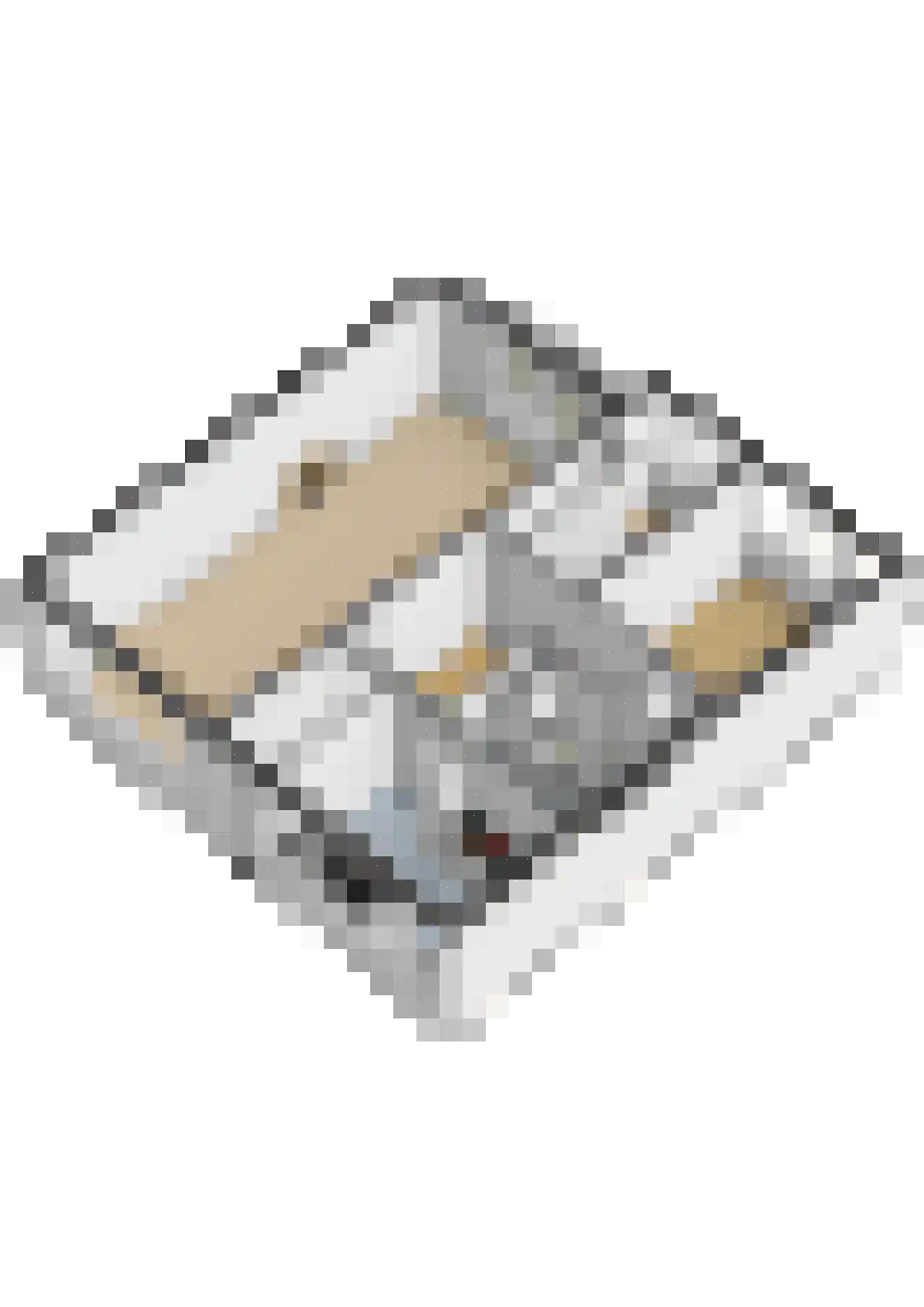 Kasterleestraat 74 Breda thumbnail 34