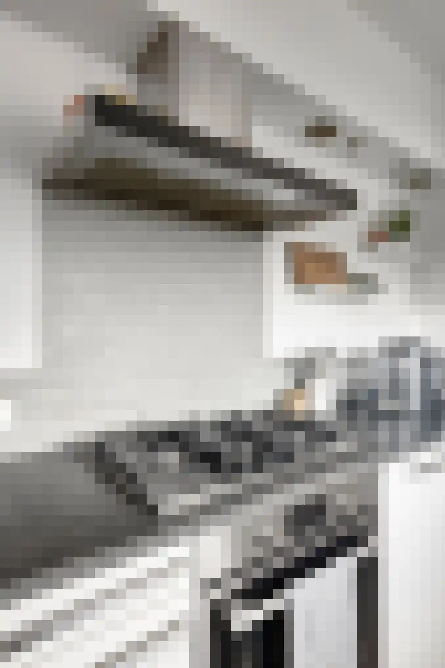 Kasterleestraat 86 Breda thumbnail 17