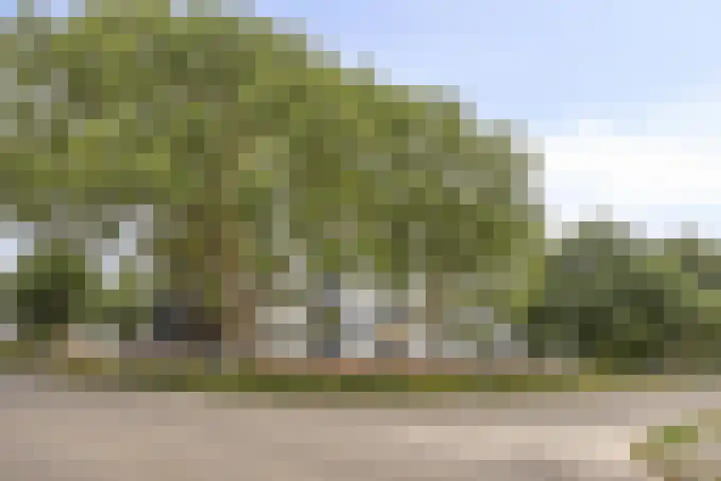 Kasterleestraat 90 Breda thumbnail 28