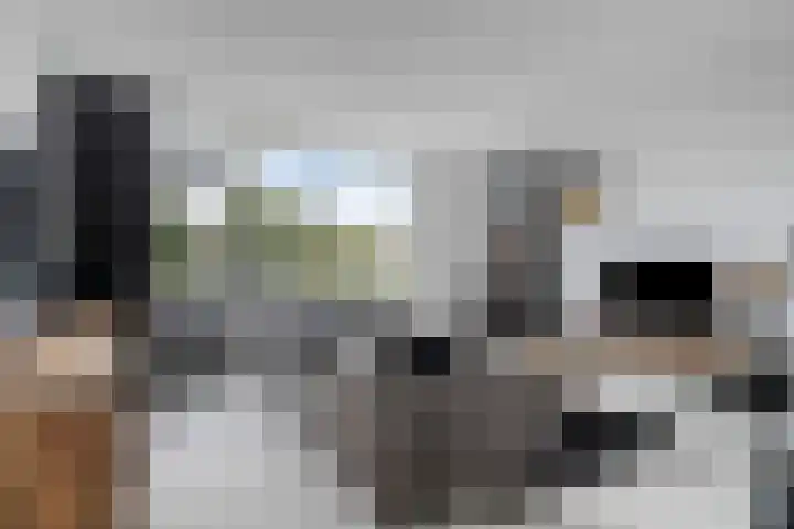 Kastorstraat 29 Bergen op Zoom thumbnail 11