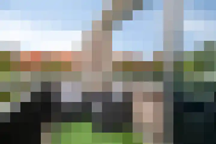 Kastorstraat 29 Bergen op Zoom thumbnail 12