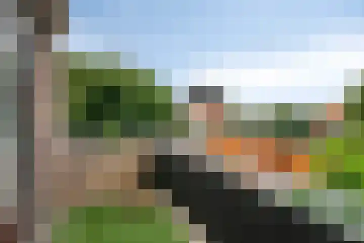 Kastorstraat 29 Bergen op Zoom thumbnail 13