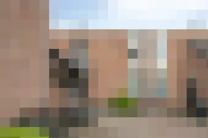 Kastorstraat 29 Bergen op Zoom thumbnail 29