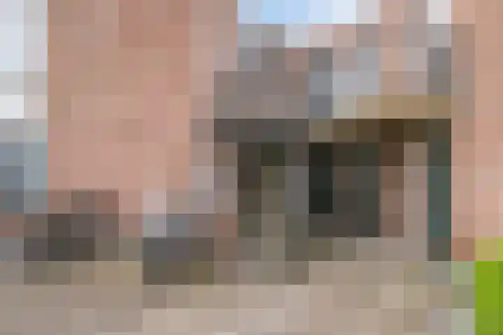 Kastorstraat 29 Bergen op Zoom thumbnail 30