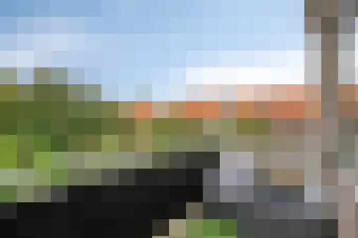 Kastorstraat 29 Bergen op Zoom thumbnail 4