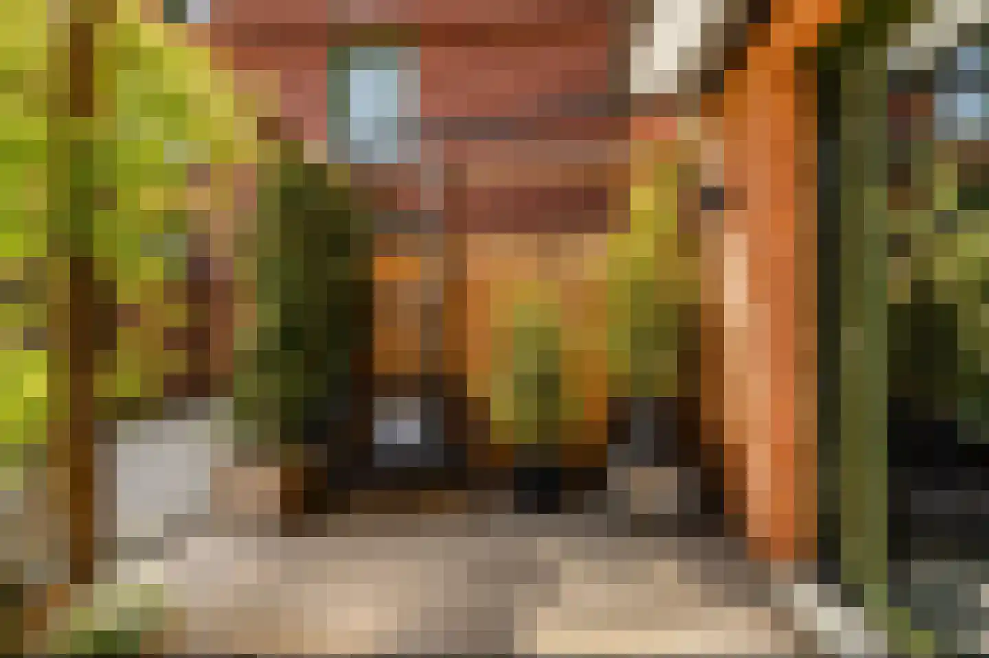 Katadreuffestraat 40 Rotterdam thumbnail 19