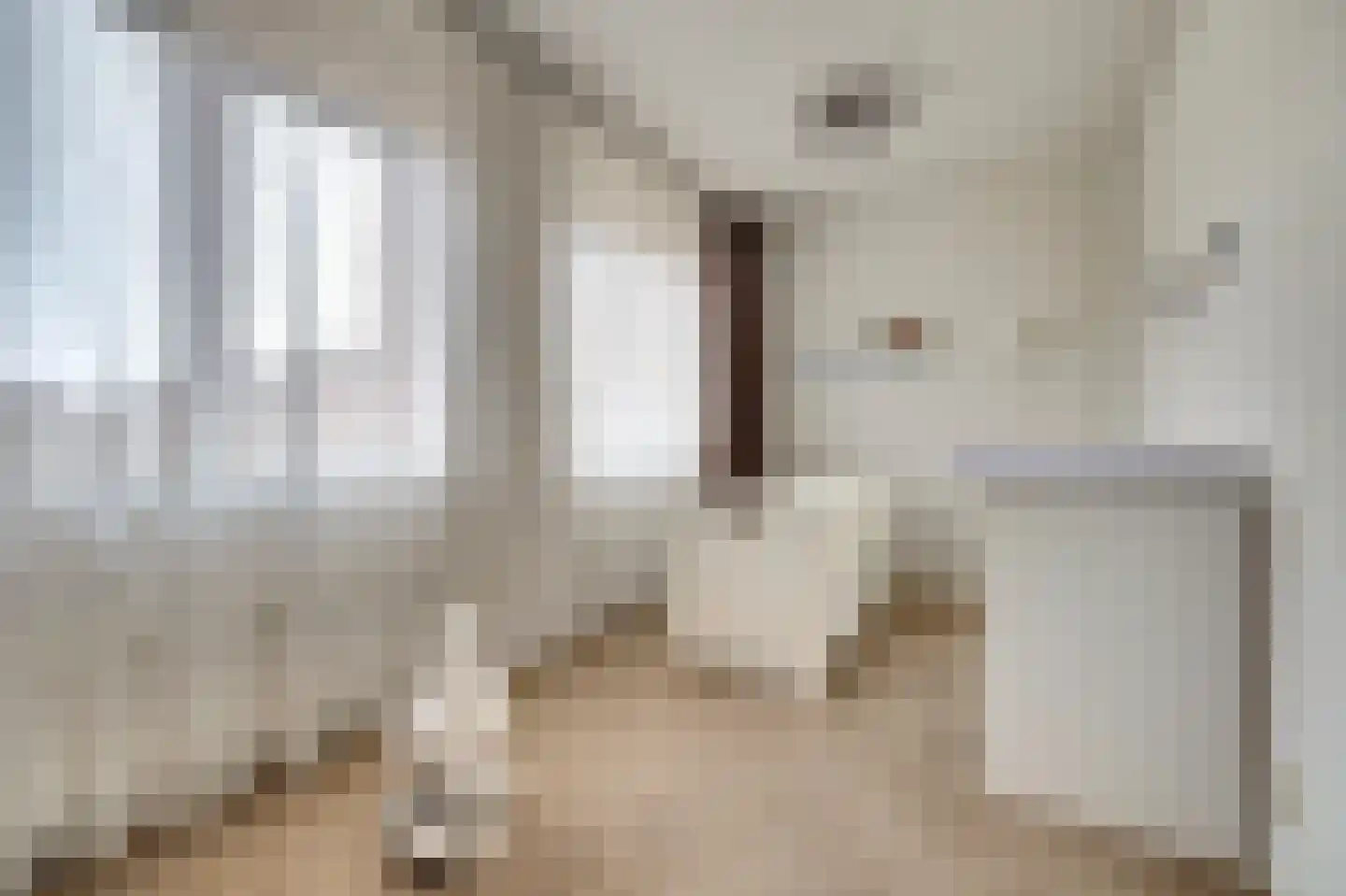Katarijnehof 13 Kerkdriel thumbnail 19