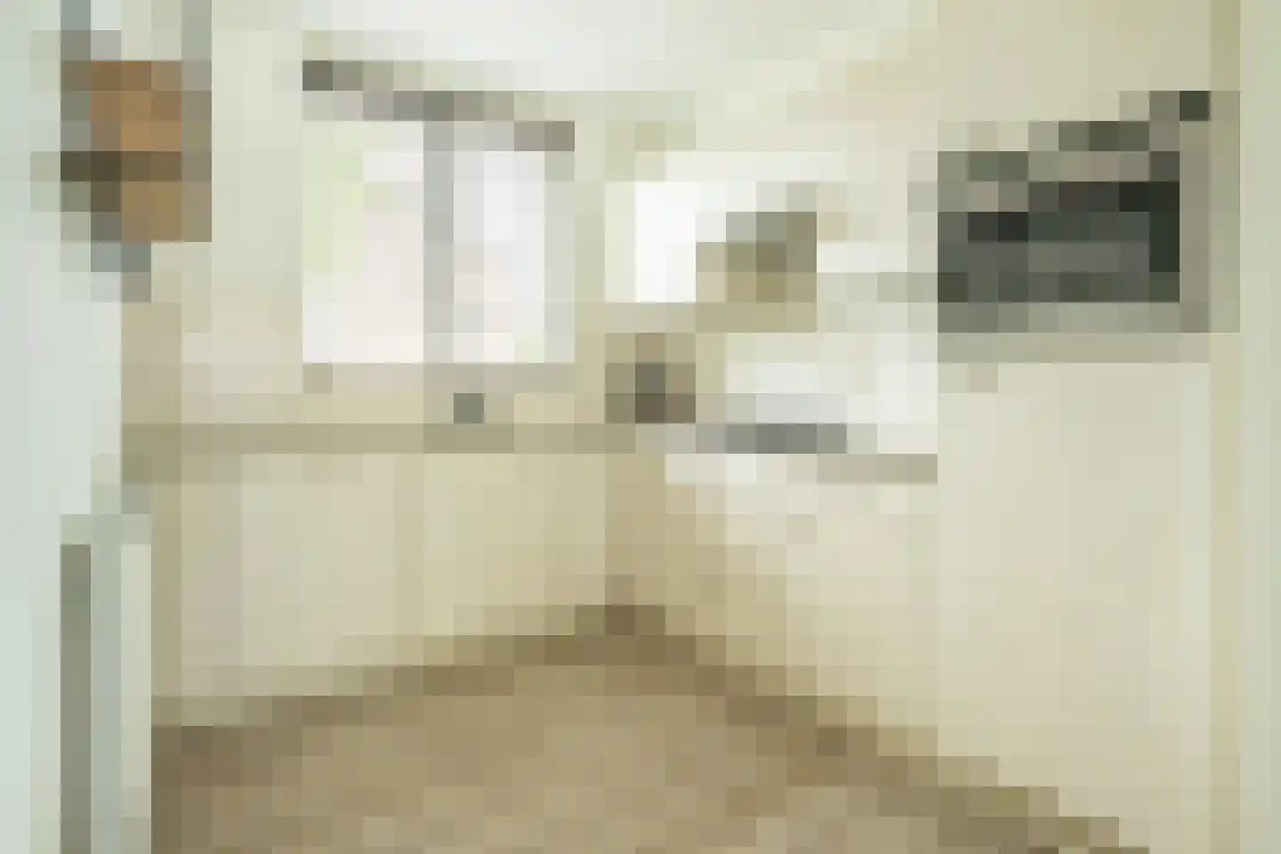 Katarijnehof 21 Kerkdriel thumbnail 15