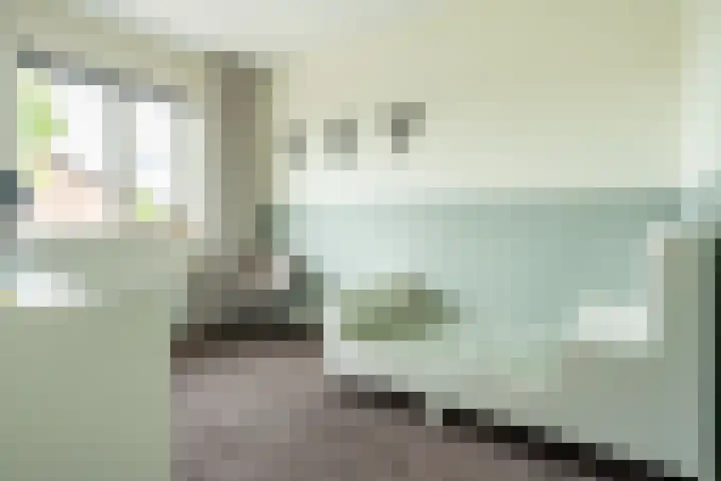 Katarijnehof 21 Kerkdriel thumbnail 23