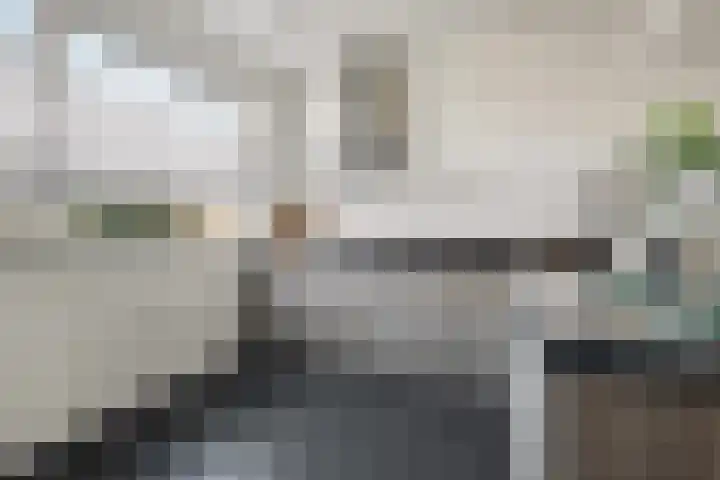 Katarijnehof 47 Kerkdriel thumbnail 11