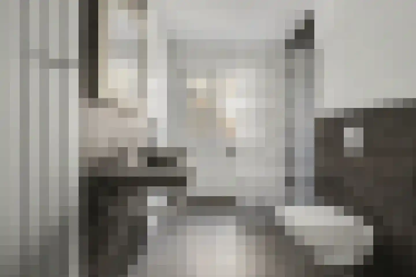 Katarijnehof 47 Kerkdriel thumbnail 25