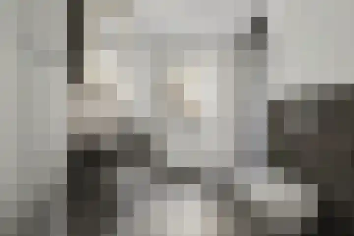 Katarijnehof 47 Kerkdriel thumbnail 25