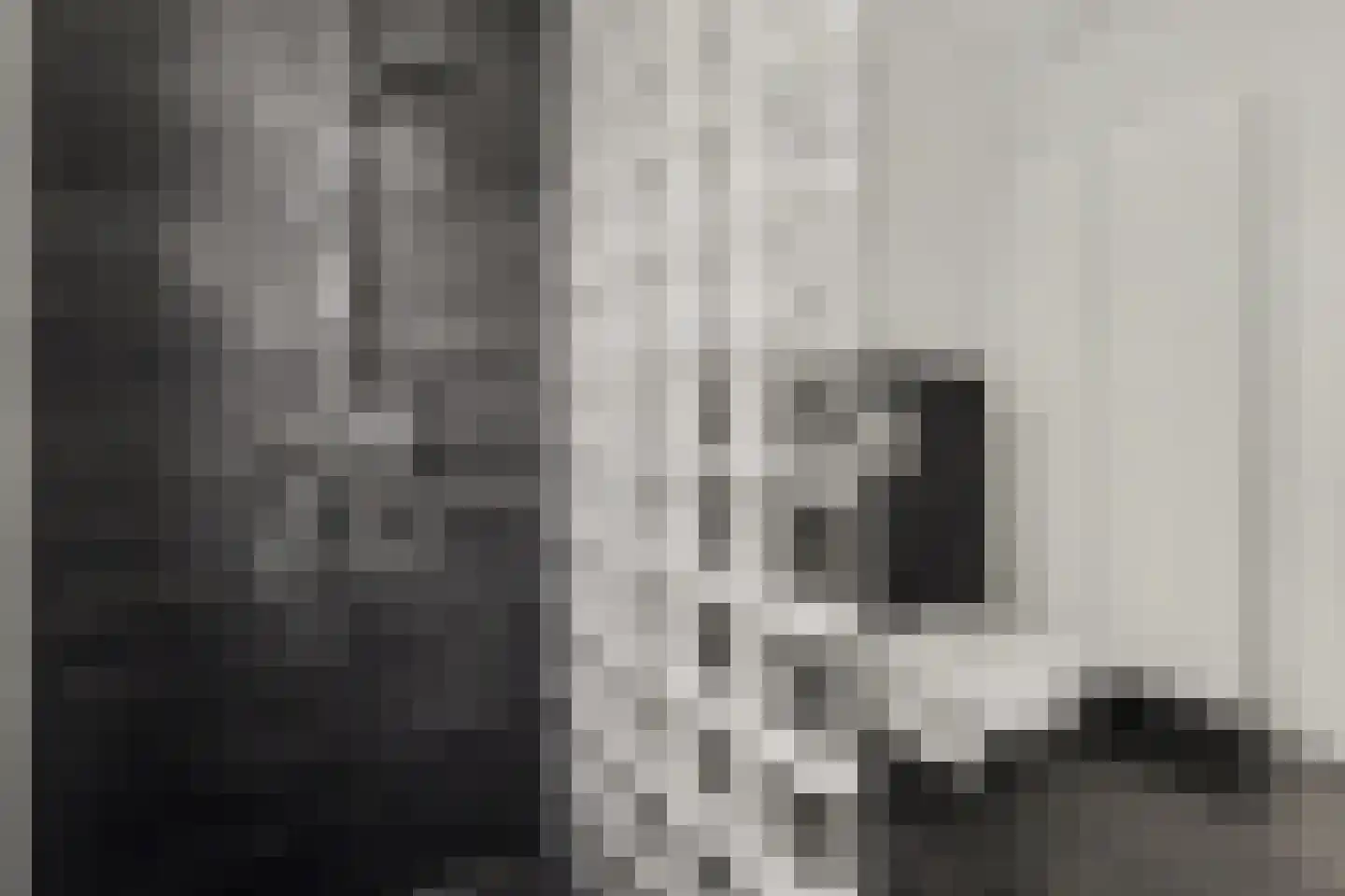 Katarijnehof 47 Kerkdriel thumbnail 27