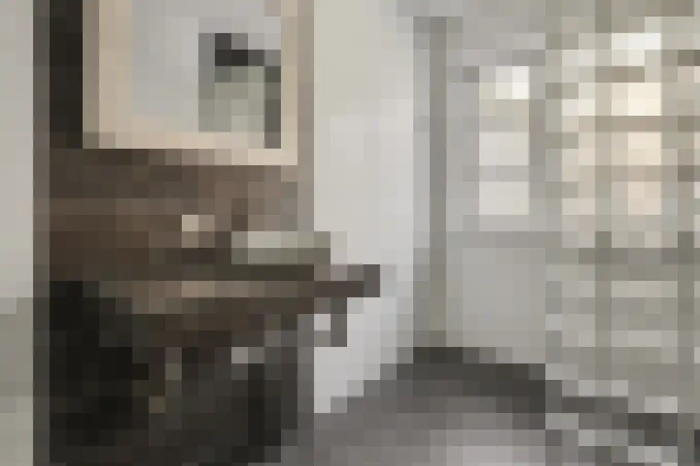 Katarijnehof 47 Kerkdriel thumbnail 29