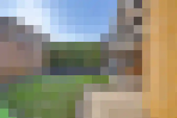 Katarijnehof 47 Kerkdriel thumbnail 32