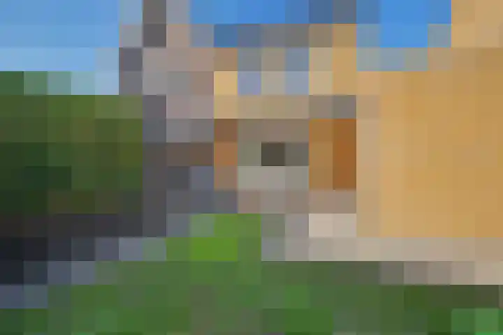 Katarijnehof 47 Kerkdriel thumbnail 33