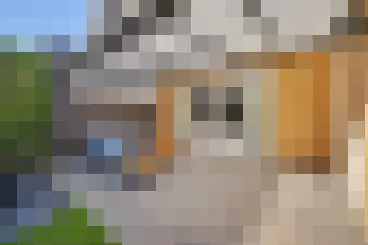 Katarijnehof 47 Kerkdriel thumbnail 35