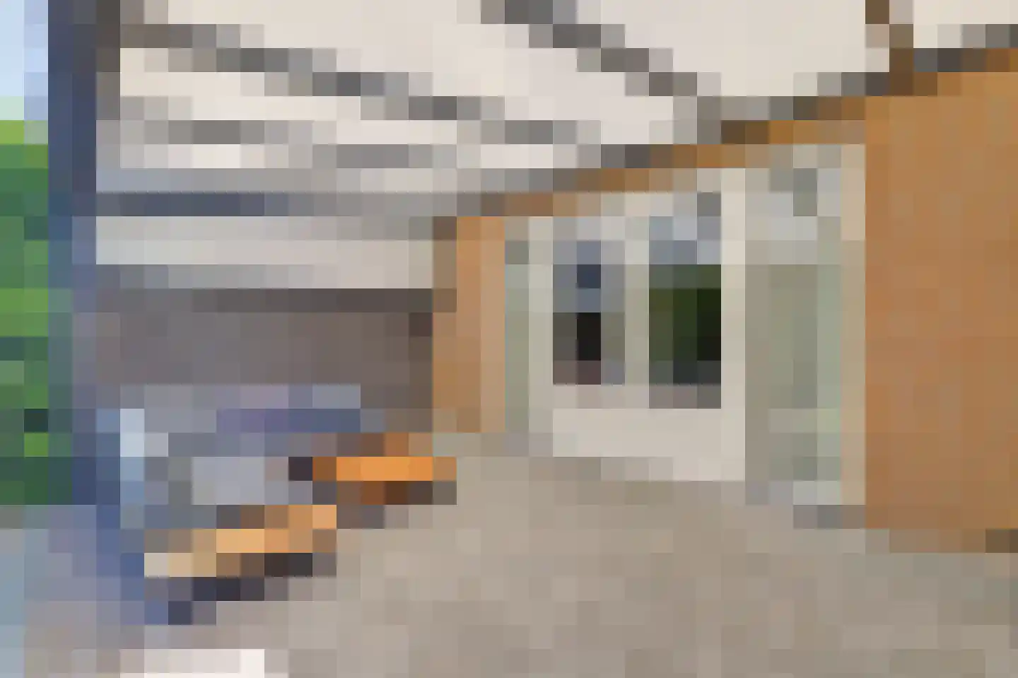 Katarijnehof 47 Kerkdriel thumbnail 35