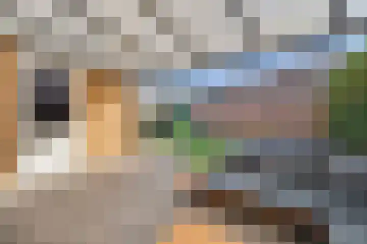 Katarijnehof 47 Kerkdriel thumbnail 37