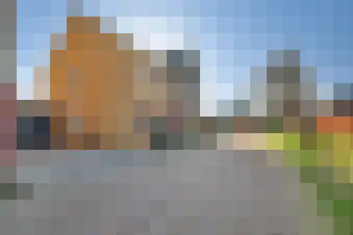 Katarijnehof 47 Kerkdriel thumbnail 42