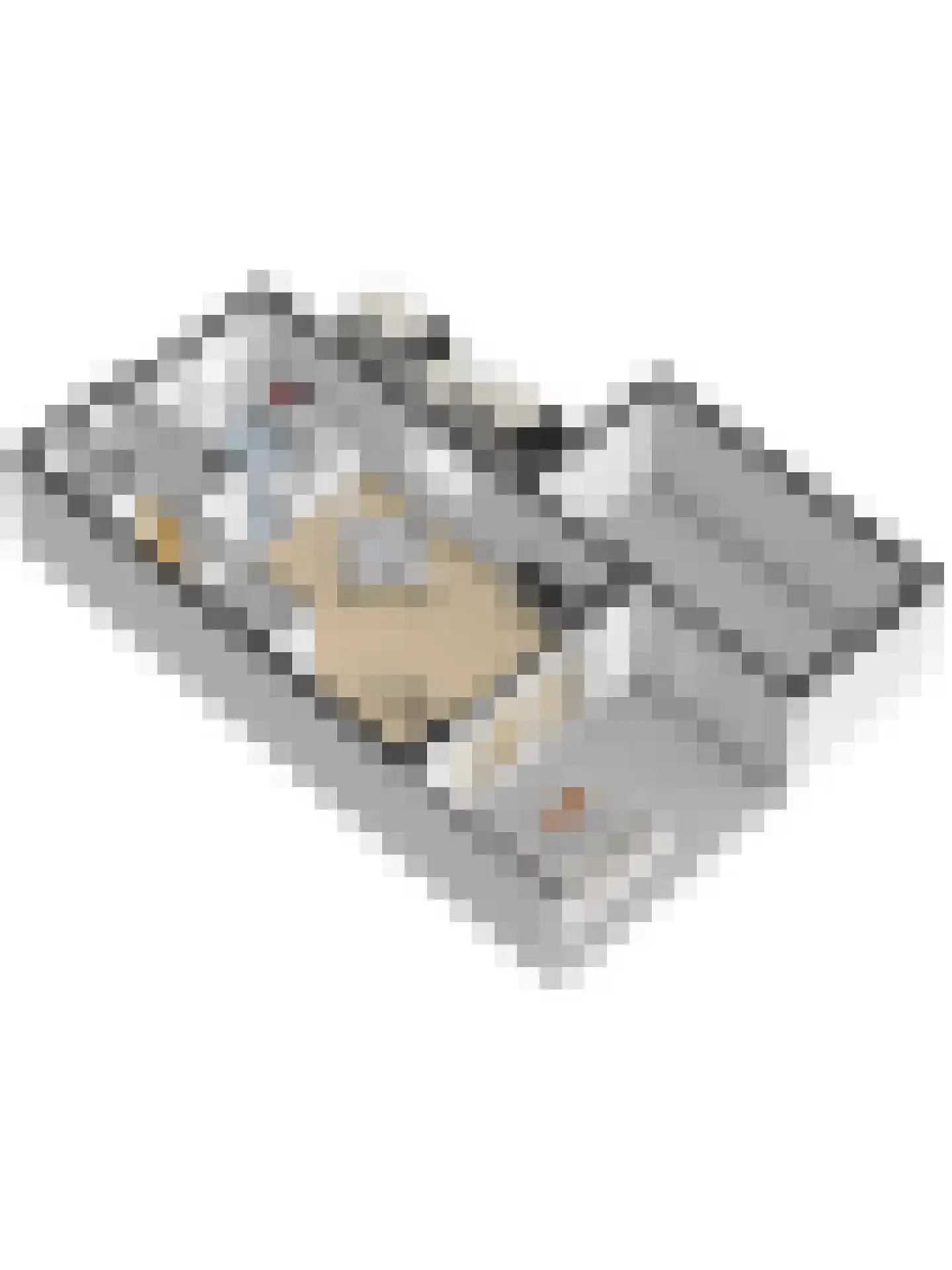 Katarijnehof 47 Kerkdriel thumbnail 46