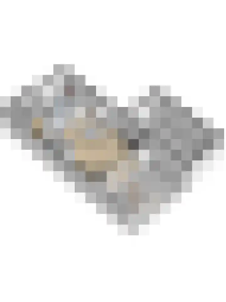 Katarijnehof 47 Kerkdriel thumbnail 46