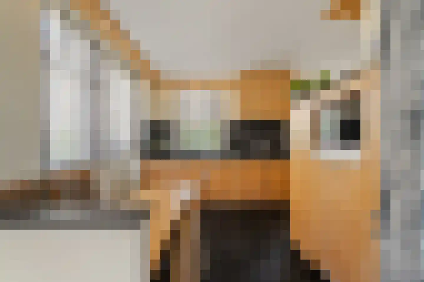 Katenblankweg 3 Noordwijk thumbnail 20