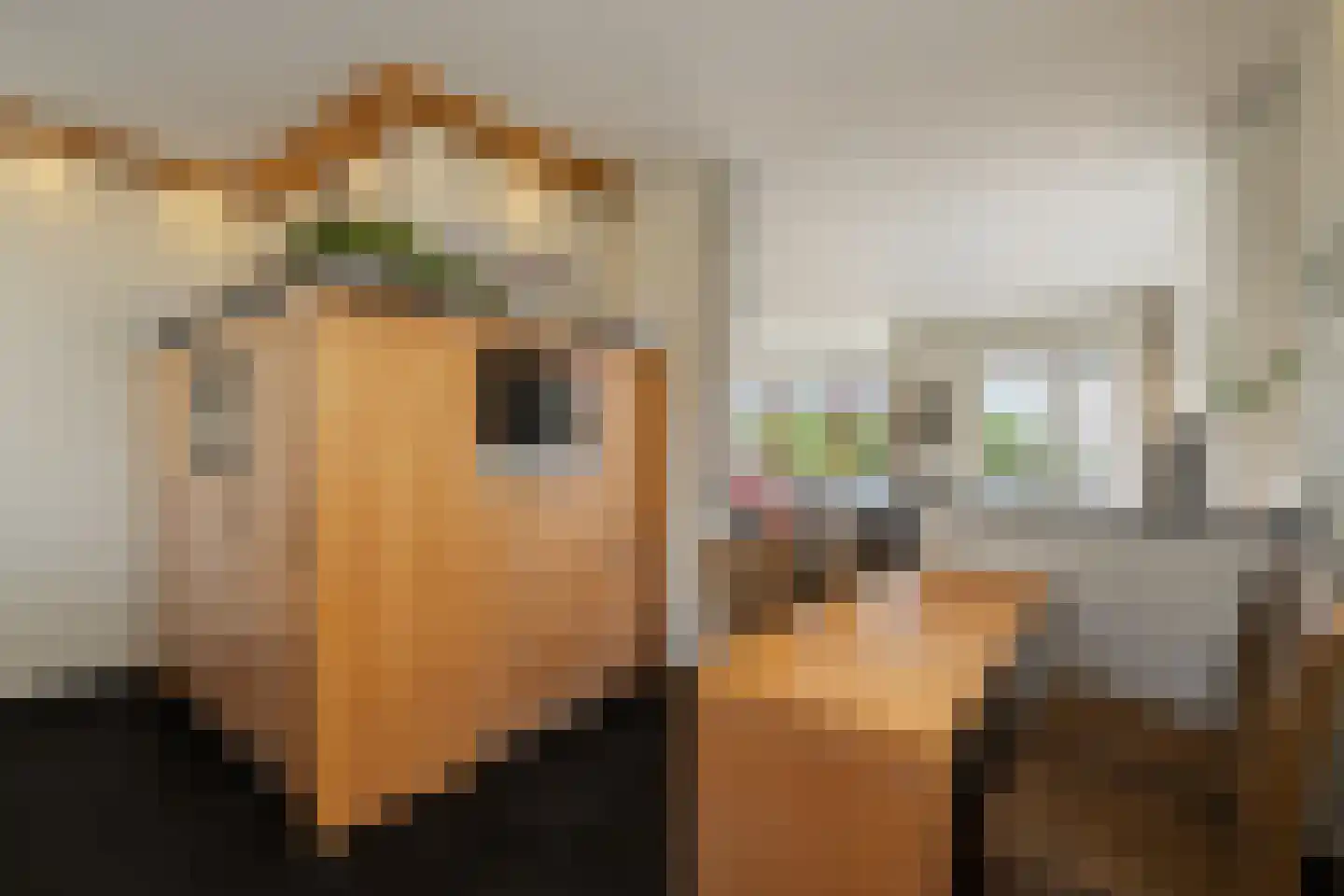 Katenblankweg 3 Noordwijk thumbnail 21
