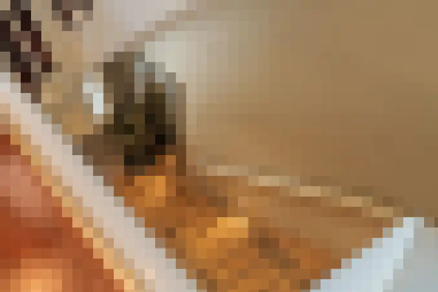 Katenblankweg 3 Noordwijk thumbnail 25