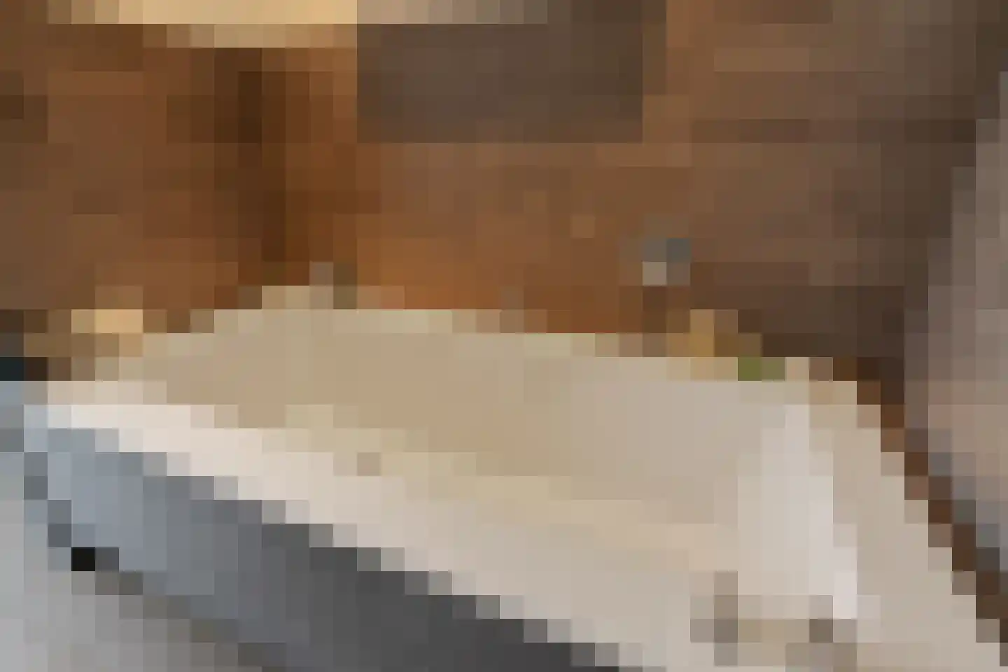 Katenblankweg 3 Noordwijk thumbnail 31