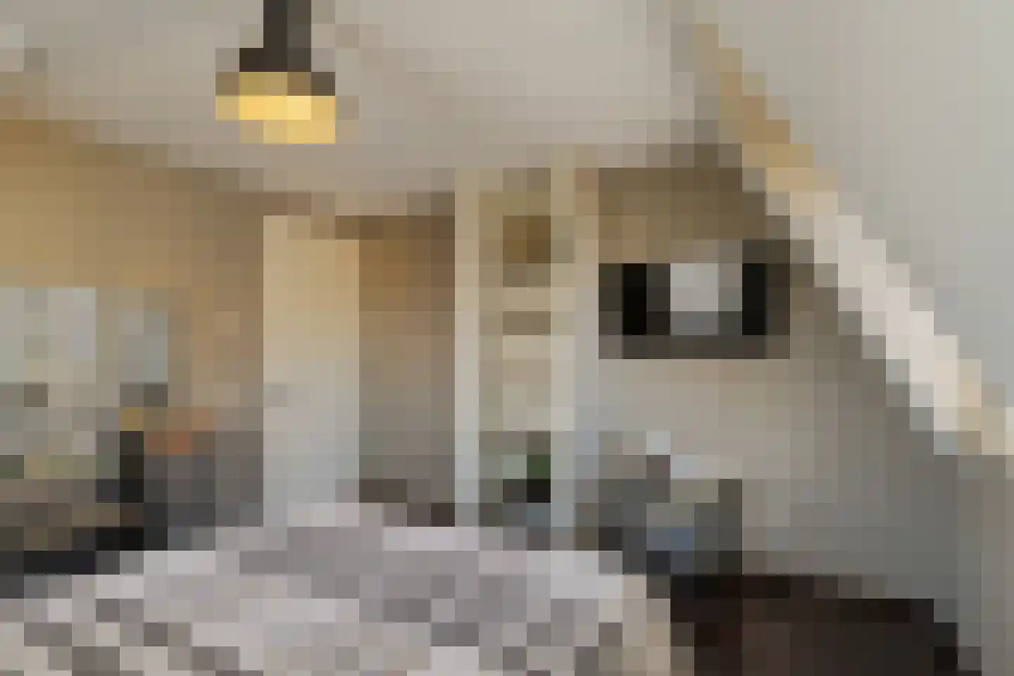 Katenblankweg 3 Noordwijk thumbnail 45