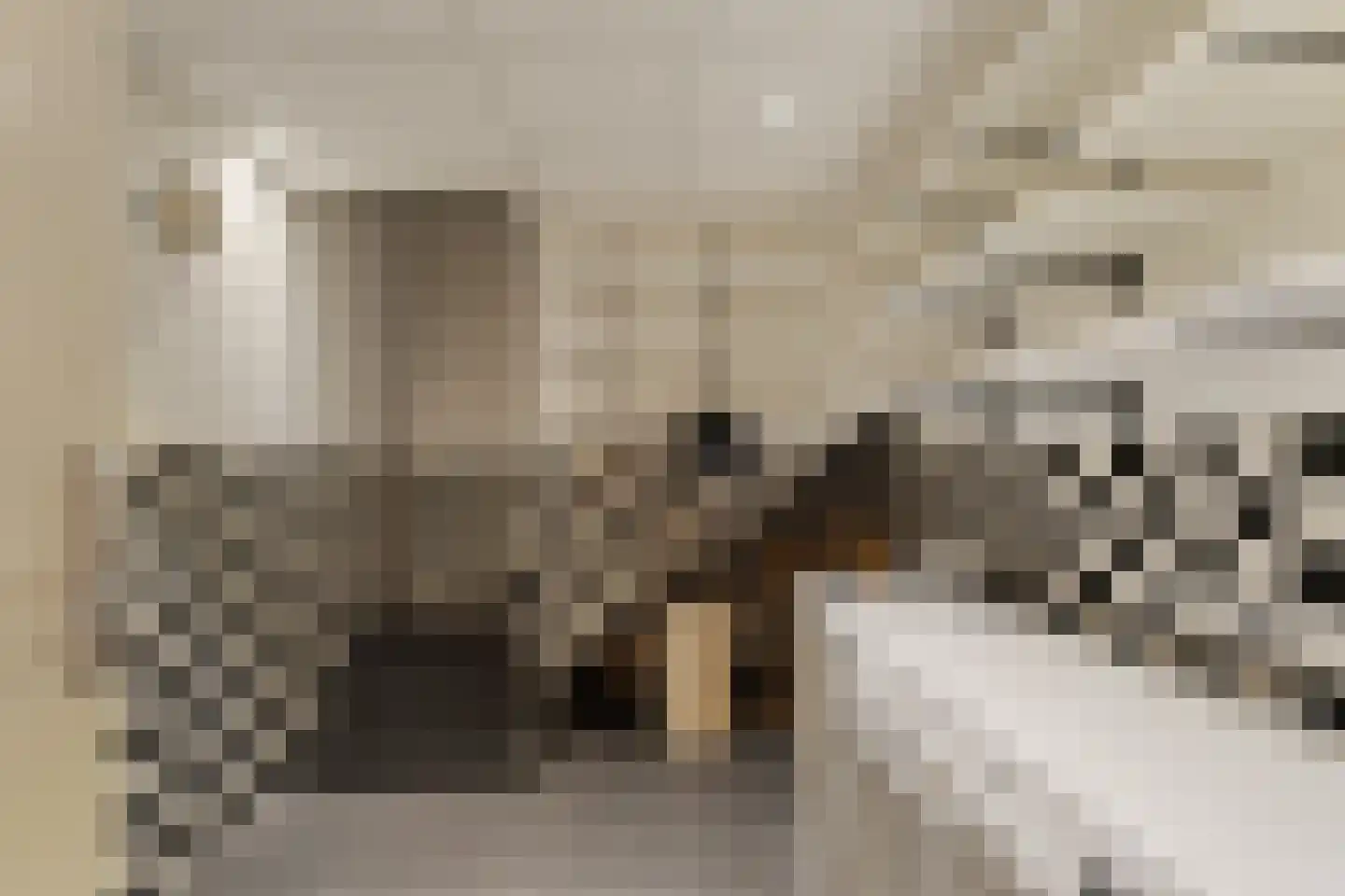 Katenblankweg 3 Noordwijk thumbnail 47