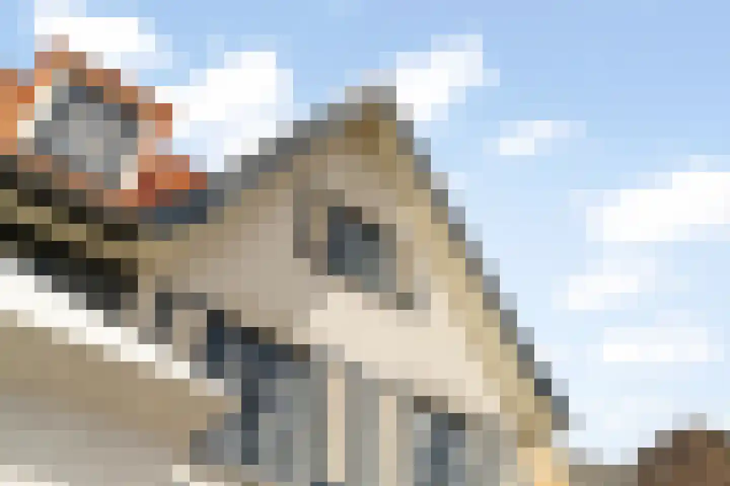 Katenblankweg 3 Noordwijk thumbnail 52