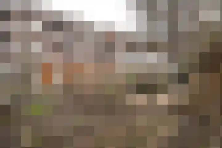 Katendrechtse Lagedijk 142 C Rotterdam thumbnail 23