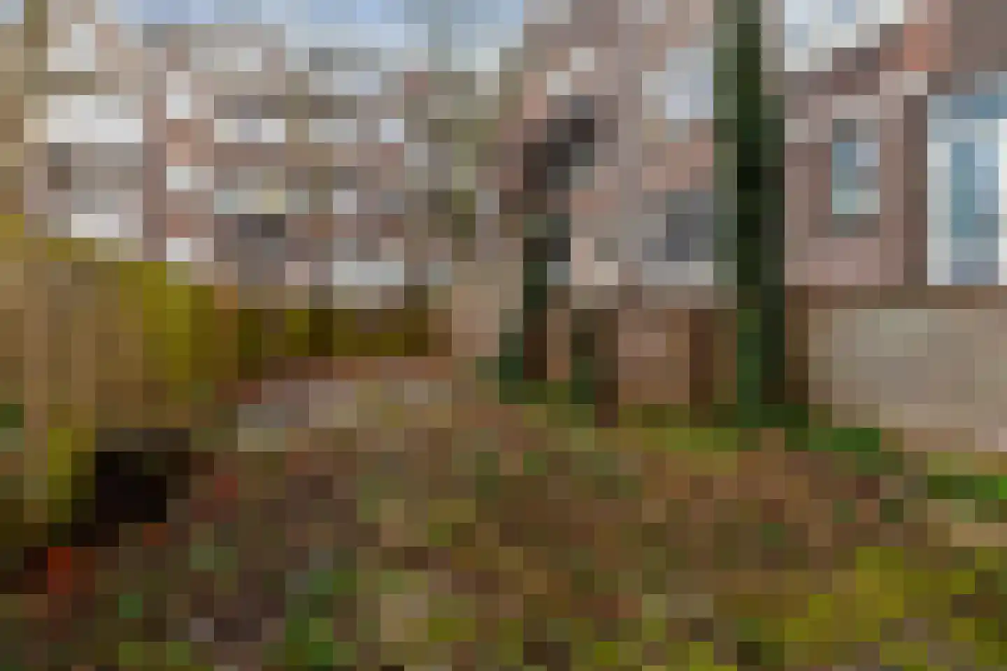 Katendrechtse Lagedijk 143 A Rotterdam thumbnail 19