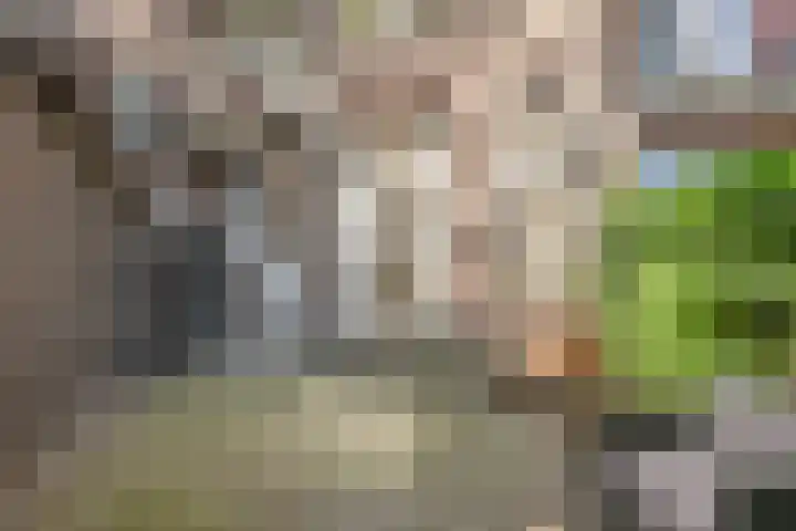 Katendrechtse Lagedijk 206 B Rotterdam thumbnail 17