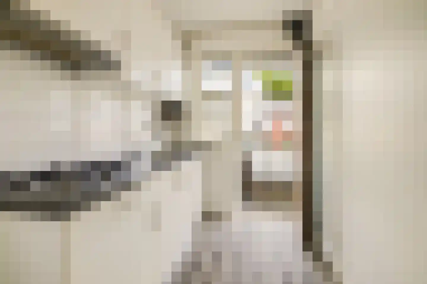 Katendrechtse Lagedijk 21 A Rotterdam thumbnail 9