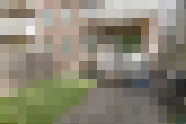 Katendrechtse Lagedijk 352 A Rotterdam thumbnail 18